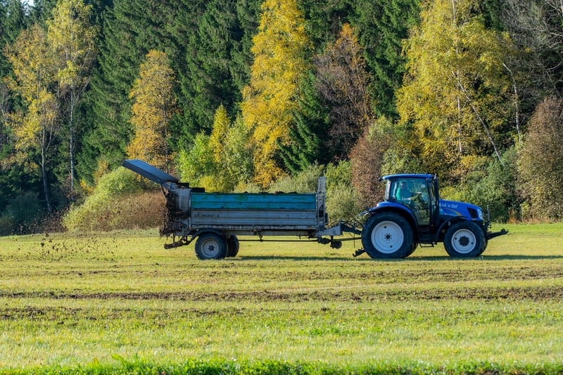 Fertilizing Plants