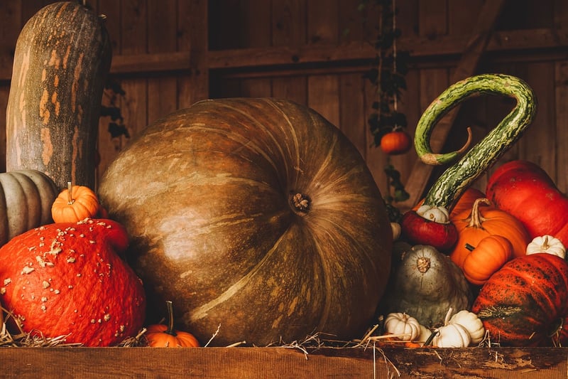 Fall Pumpkins