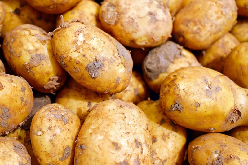 Sweet Potato